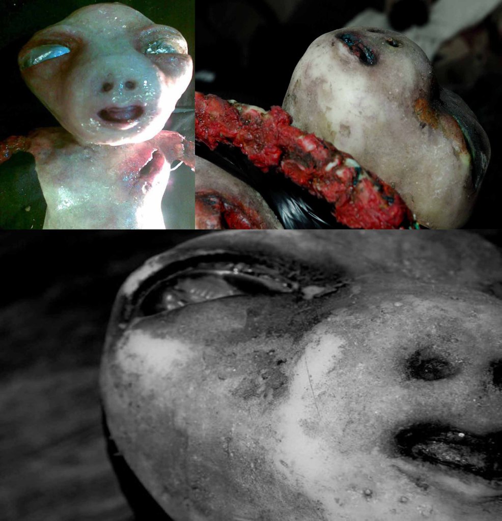 baby eraserhead